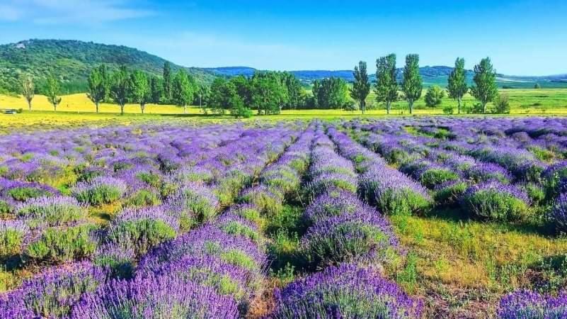 Legkondicionalt, Erkelyes Szoba, Privat Fuerdovel A Balatonon Kőröshegy エクステリア 写真